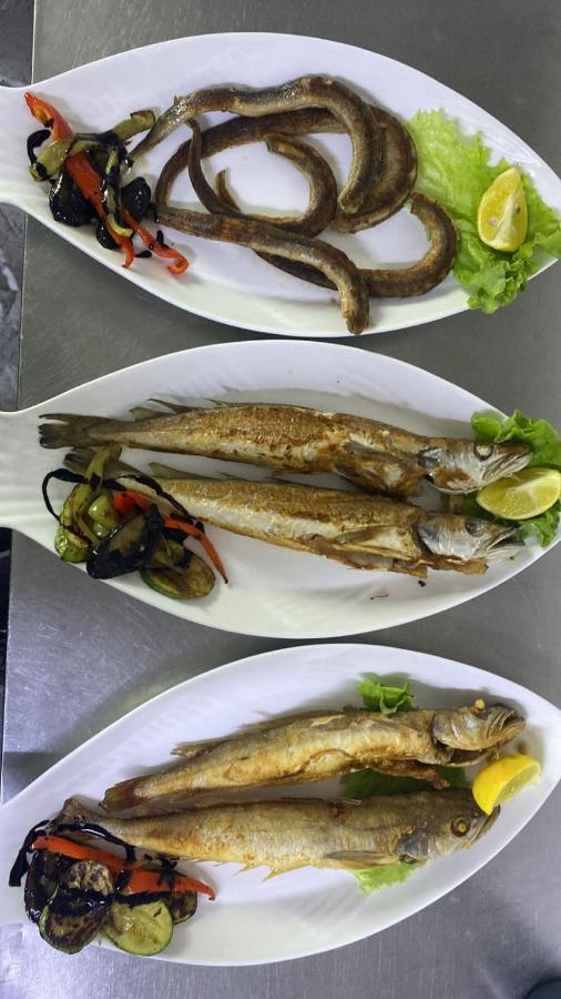 Natyra E Ishullit - Hotel, Ristorant, Camping - Lezhe, Shengjin, Ishull Shengjin Lezhe, Shengjin, Lezhe Ishull-Shëngjini Kültér fotó